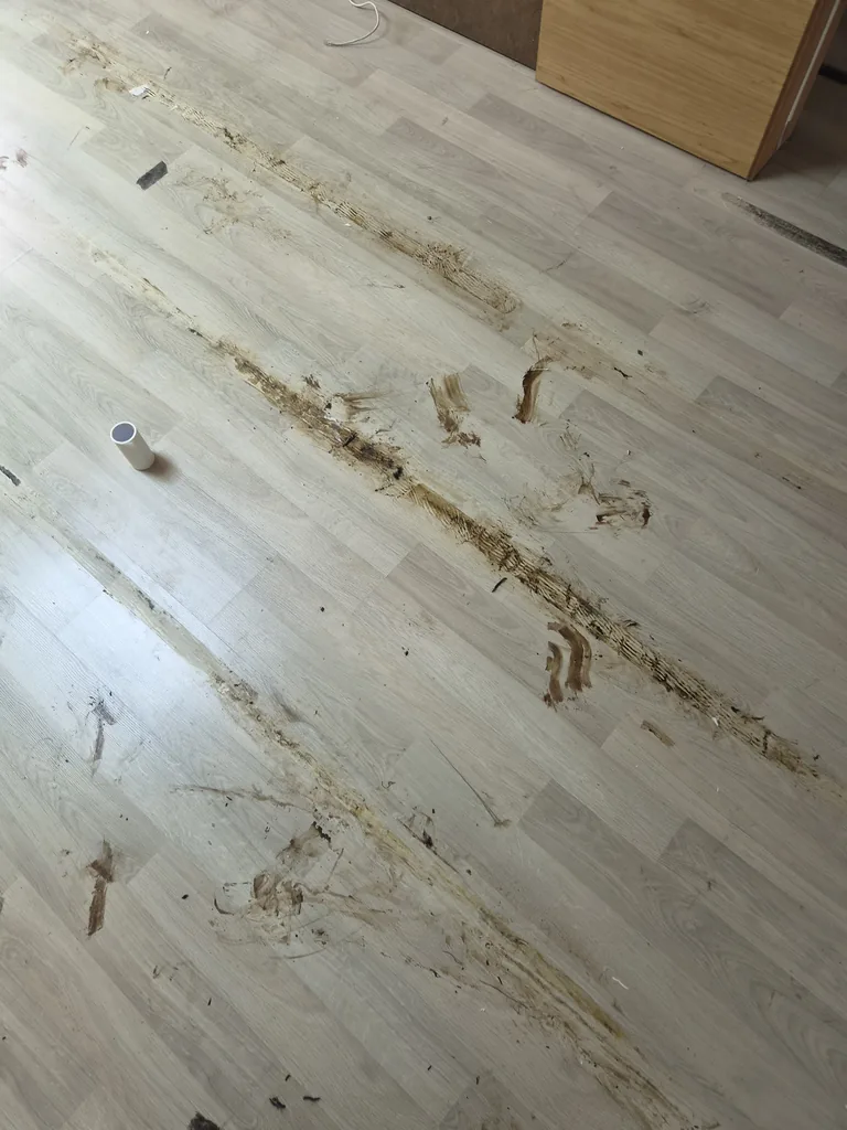 바닥 양면테이프 끈끈이 제거 작업 — 강화마루에 남은 접착제 자국 | 서울 스티커 제거
