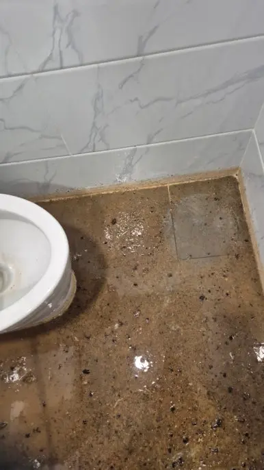 고덕동 상가 화장실 역류 오수