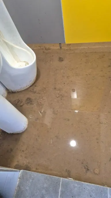 역류 오수 화장실 청소 전