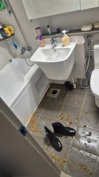 잠실 화장실 오물