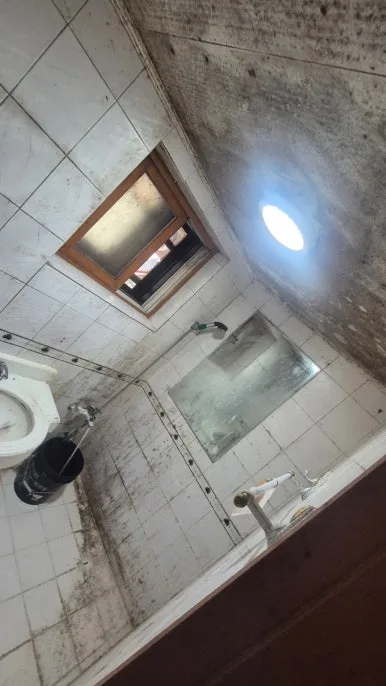 화장실 천장 곰팡이