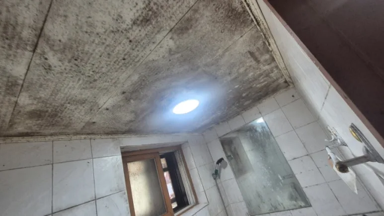 화장실 천장 곰팡이 클로즈업