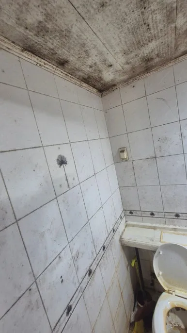 화장실 벽면 줄눈 곰팡이