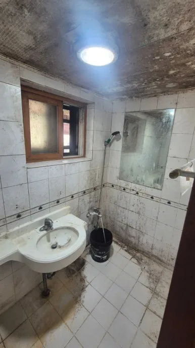 화장실 전체 곰팡이 오염 천장 벽면 타일