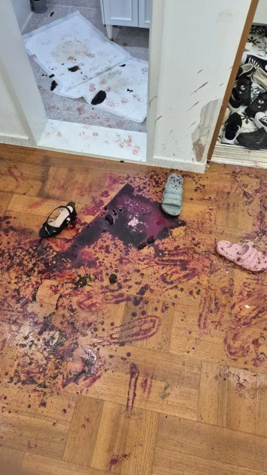 혈흔 현관 복도 바닥 오염 작업 전