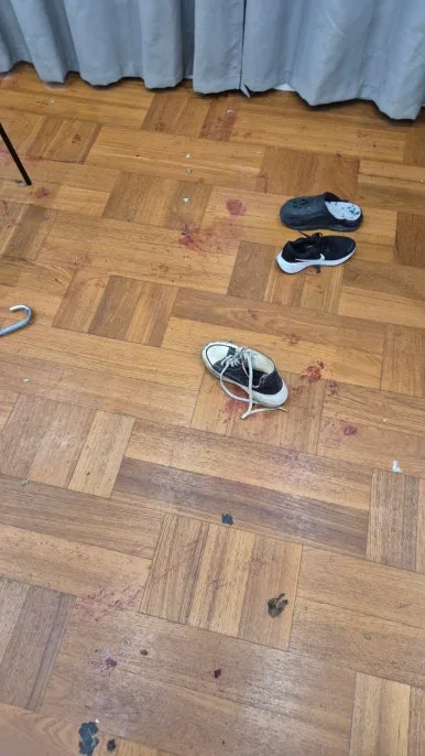 혈흔 바닥 오염 물건 주변 혈액