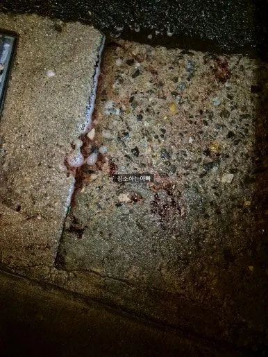 보도 바닥 혈흔 오염 — 노면에 떨어져 굳기 시작한 혈액 작업 전
