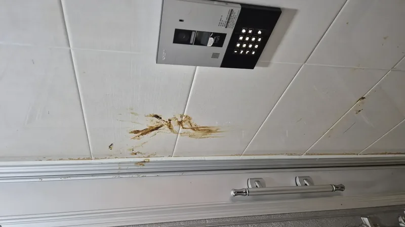 건물 현관 벽면 분변 오염 인터폰 주변 작업 전