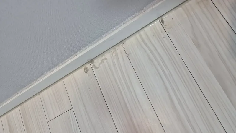 걸레받이 바닥 이음새 끈끈이 제거 작업 중