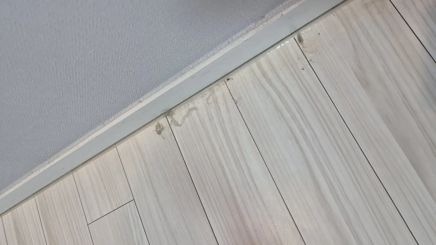 걸레받이 바닥 이음새 끈끈이 제거 작업 중