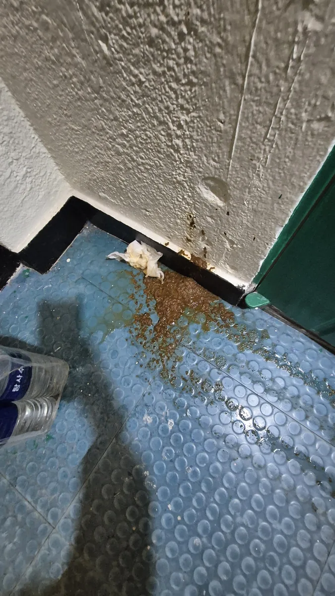 아파트 계단 대변 오물 방치 현장 — 오물청소 전