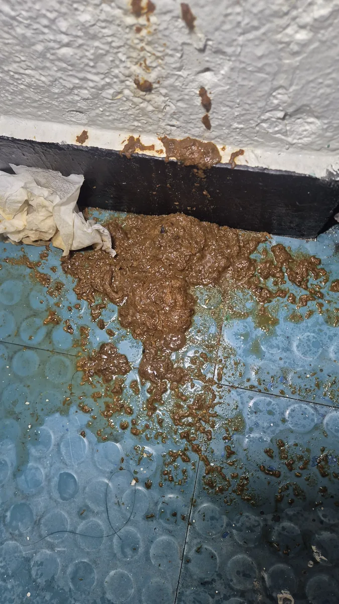 계단 복도 대변 오염 근접 — 똥청소 긴급 출동 전