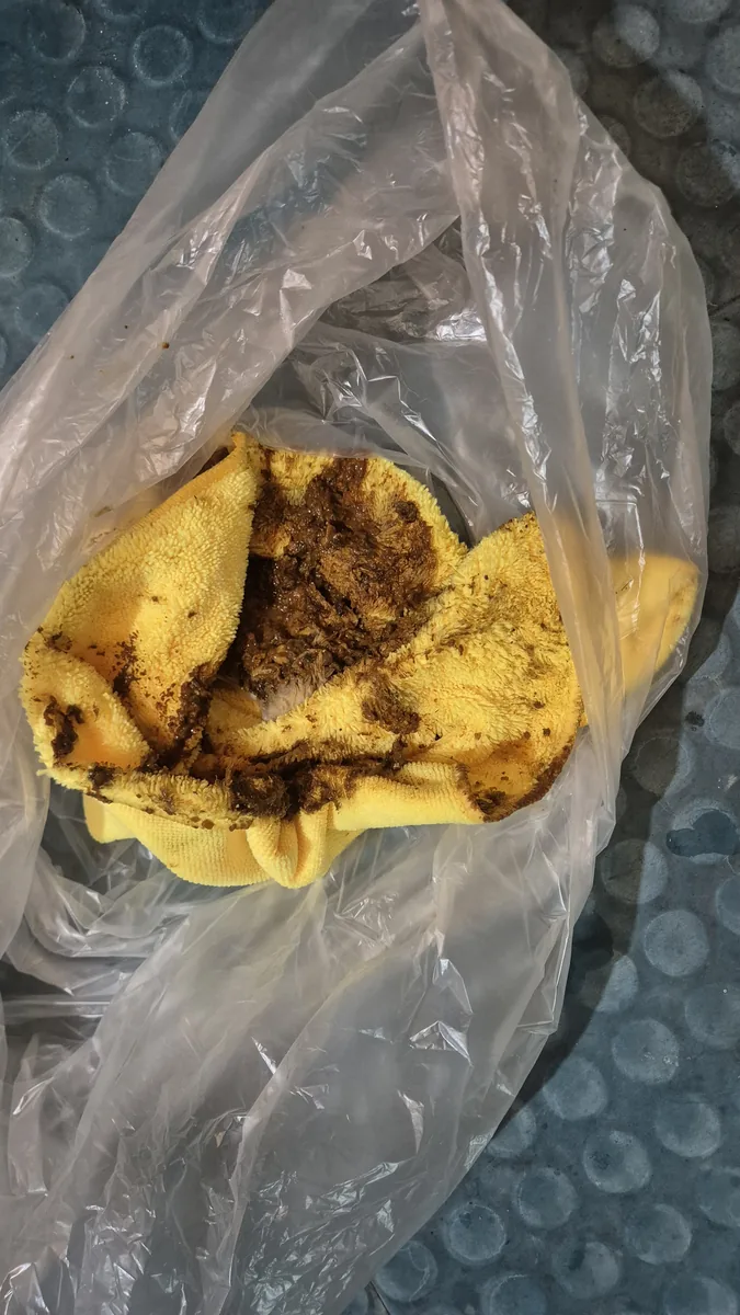 계단 오물 제거 작업 중 — 전용 세정 도구 사용