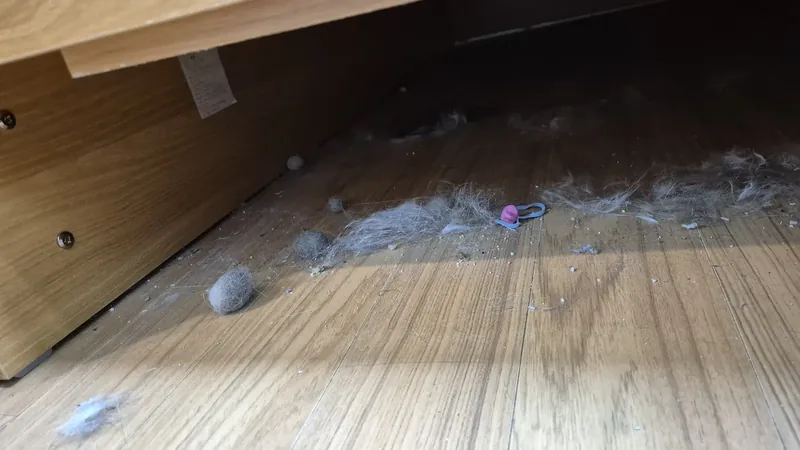 침대 하부 반려동물 털 먼지 뭉침 제거 전