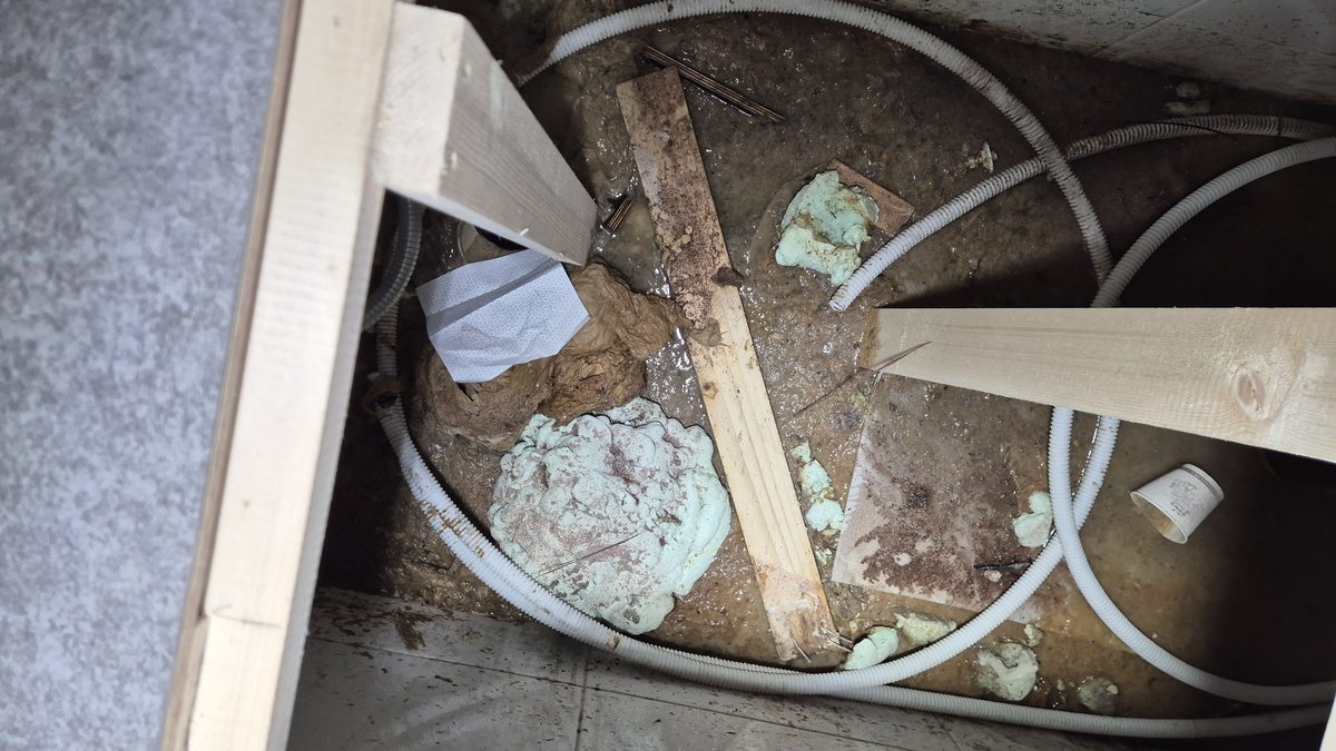 정화조 역류 - 지하 공간 오물 가득 1