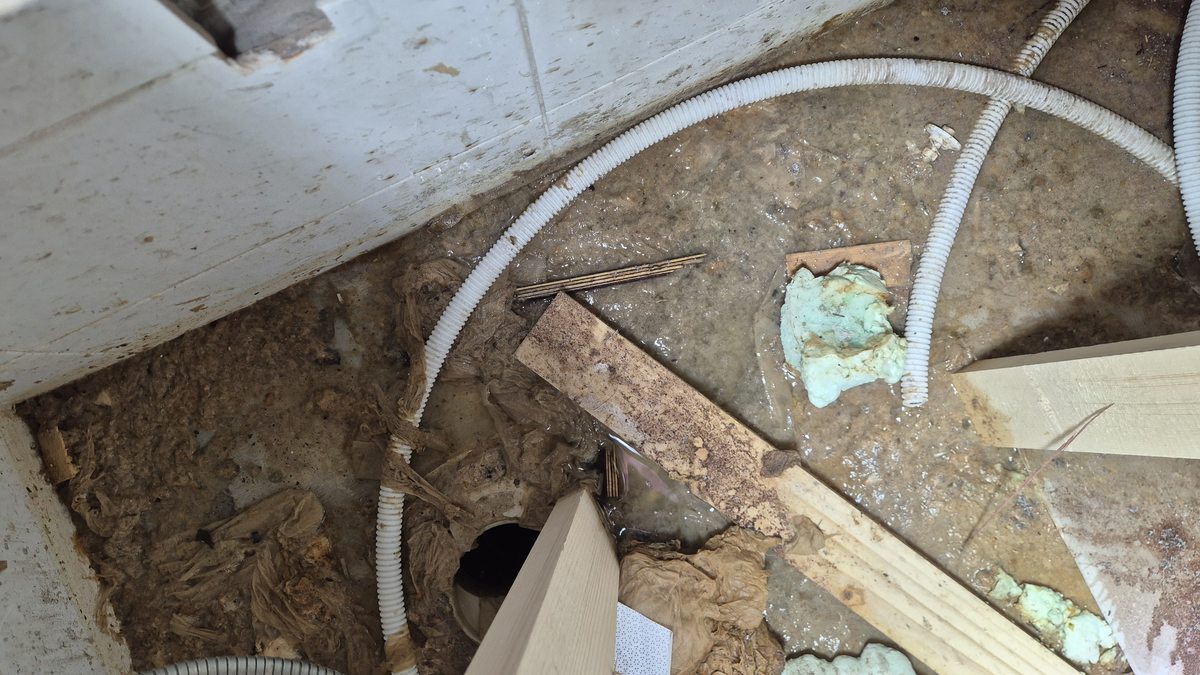 정화조 역류 - 지하 오수 침수 클로즈업