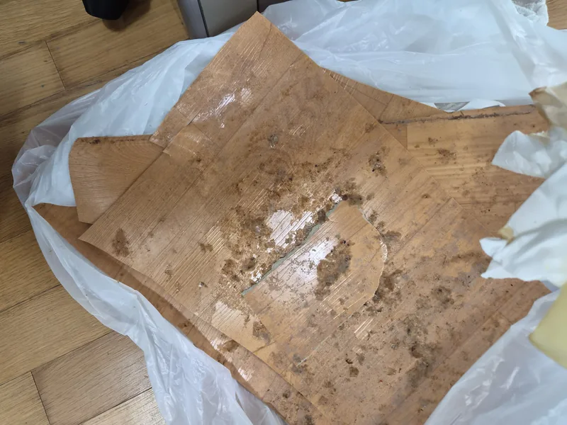오수가 스며들어 표면이 들뜬 마루 마감재와 눌어붙은 음식물 잔재