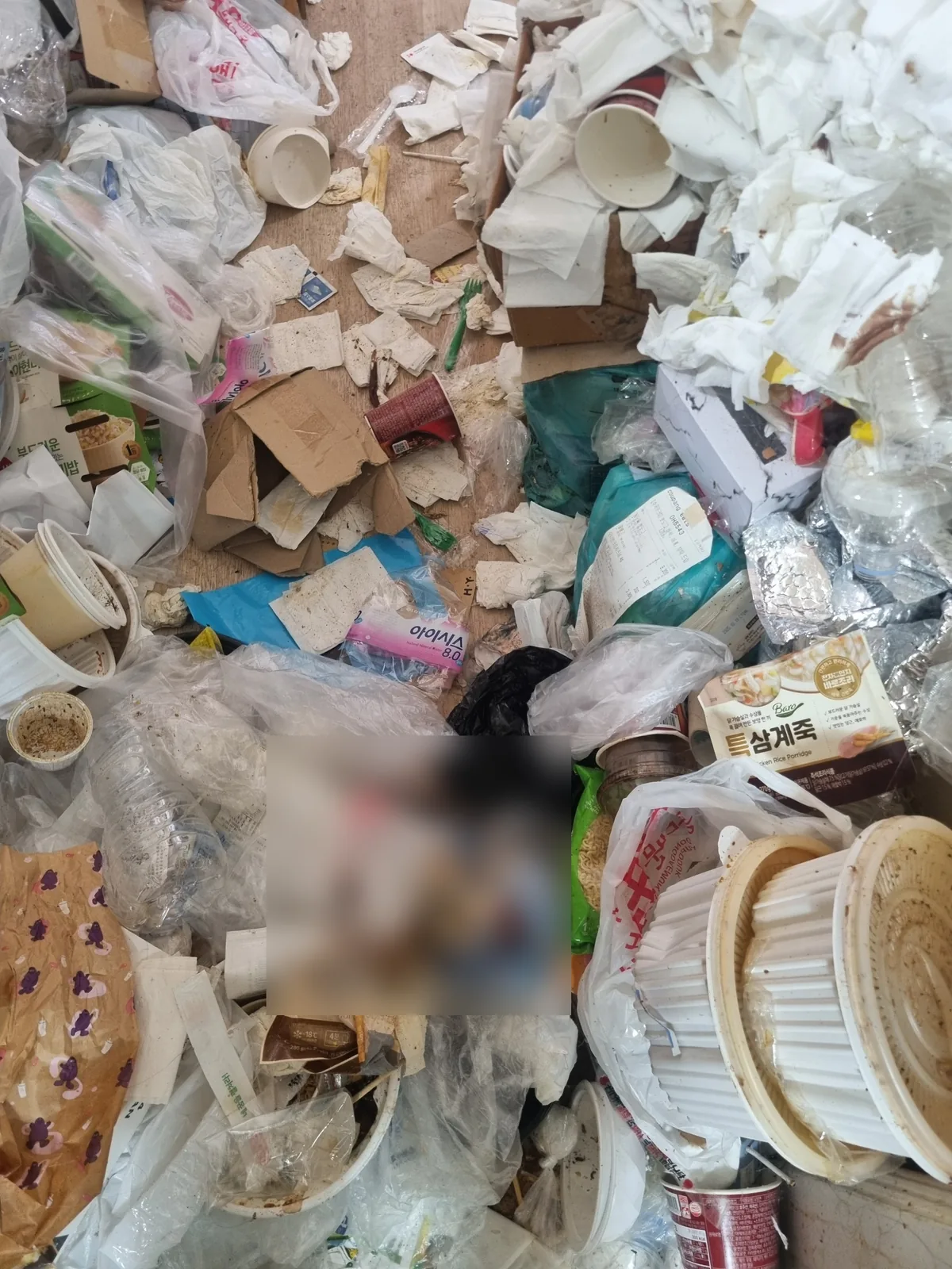 겹겹이 쌓인 배달 용기와 남은 내용물 — 벌레와 냄새의 직접적인 발생원이 되는 구간