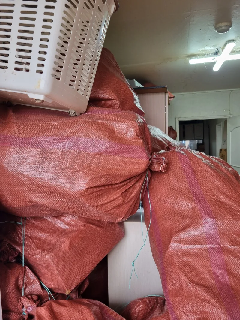 천장 가까이 쌓아 올린 마대자루 — 반출 동선을 확보하려 한쪽으로 모은 단계