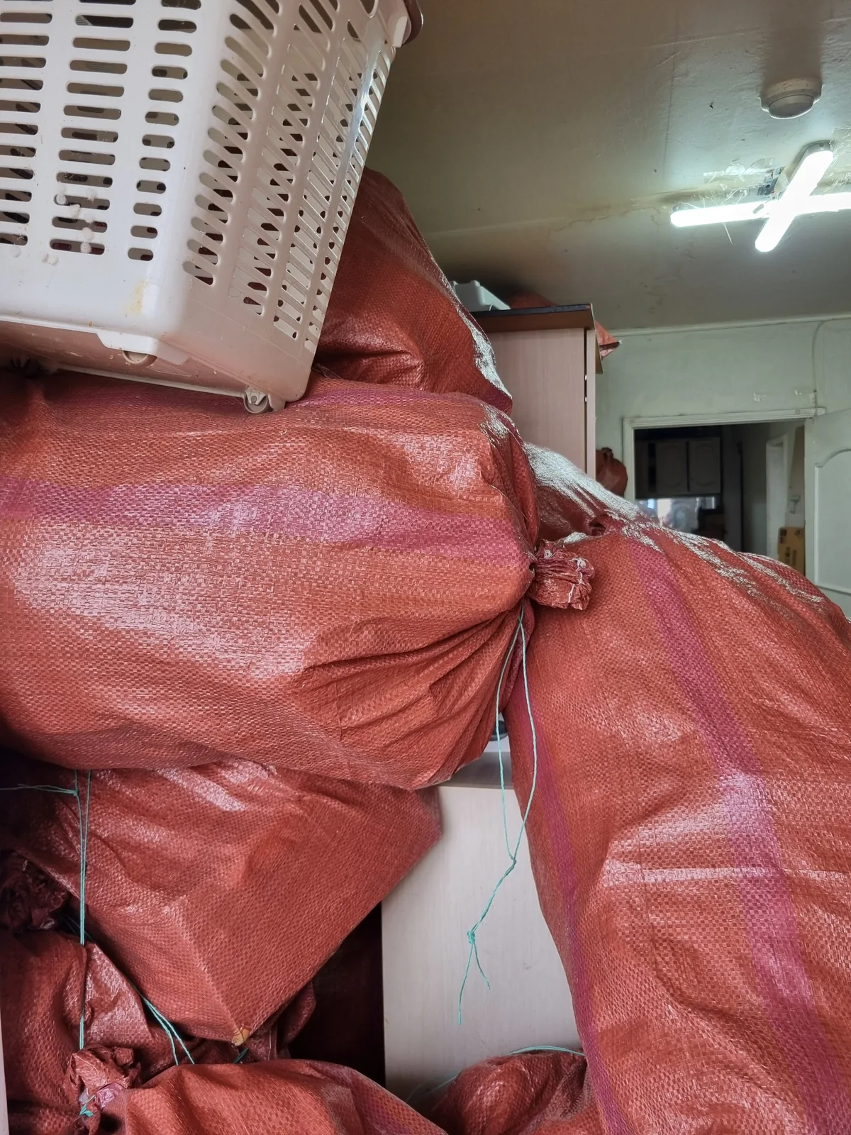 천장 가까이 쌓아 올린 마대자루 — 반출 동선을 확보하려 한쪽으로 모은 단계