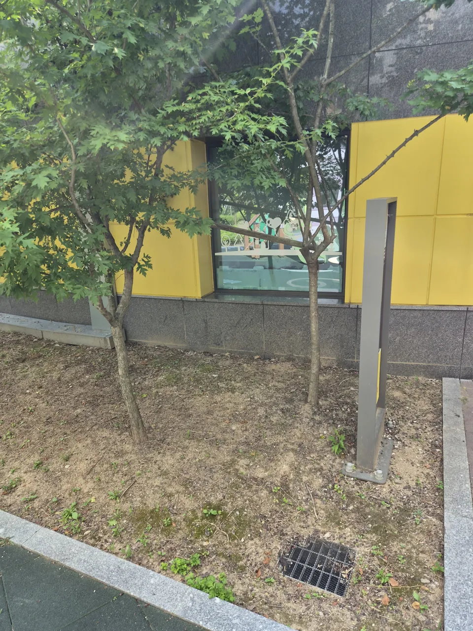 시트지·스티커 제거와 세정을 마친 깨끗한 어린이집 유리창 | 서울 특수청소 올빼미청소