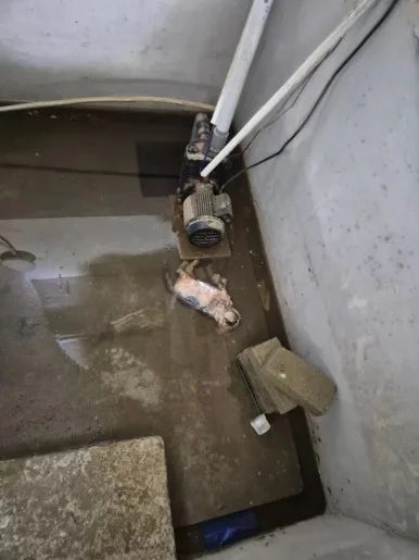 건물 지하 기계실 동물 사체 발견 현장