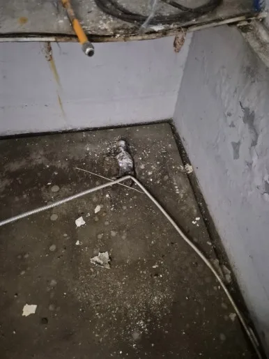 건물 지하 동물 사체 수거 후 현장