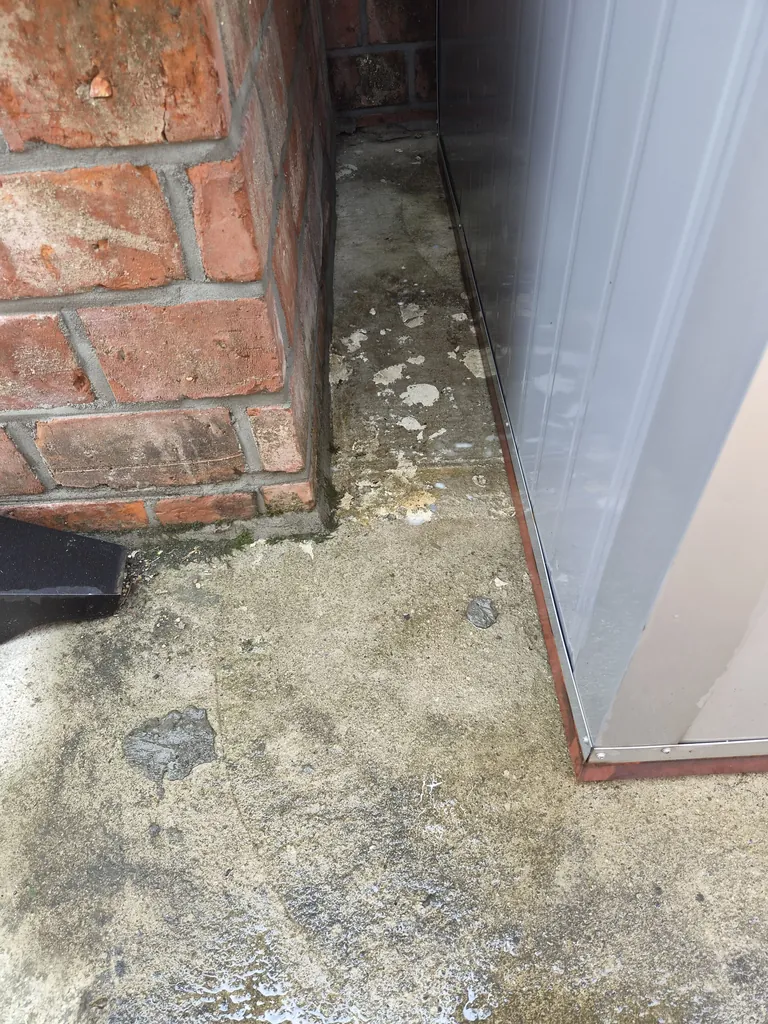 고양이 사체 처리 후 외벽 — 세척·탈취를 마친 깨끗한 상태 | 서울 24시 긴급청소