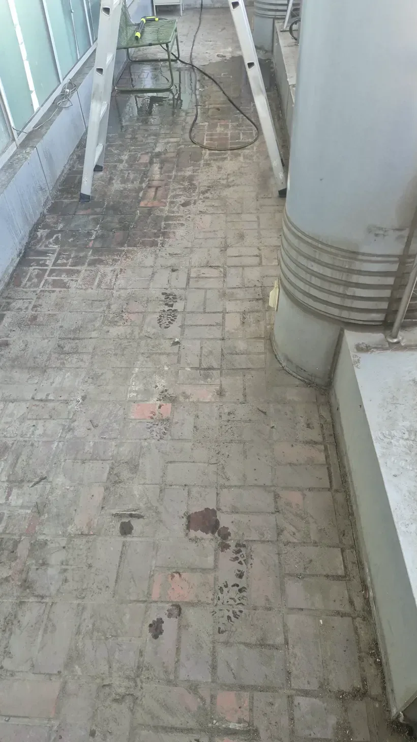 대학로 어닝 조명 창틀 오염