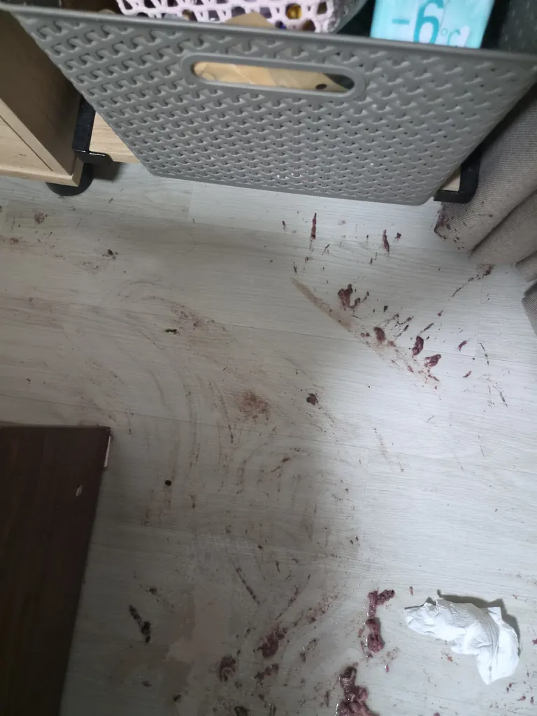 선반 아래 토사물 오염 — 흩어진 오물 처리 전 바닥 | 광진구 24시 청소업체