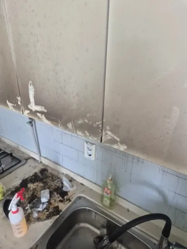 광진구 자양동 화재청소 주방 벽면 그을음 오염 작업전