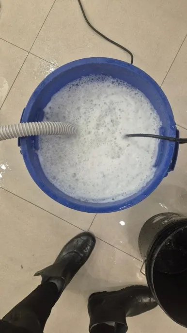 침수 물 배수 장비 작업