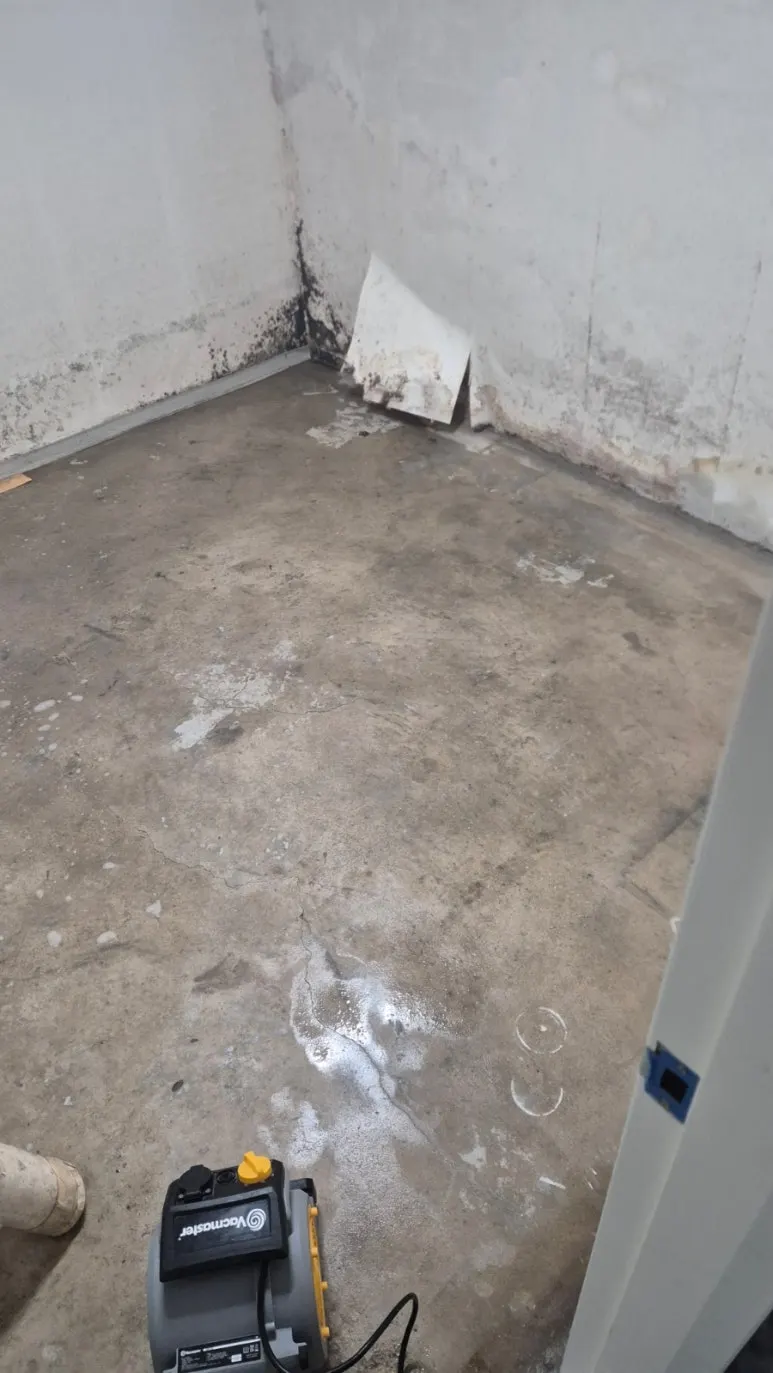 산업용 건조 장비 가동