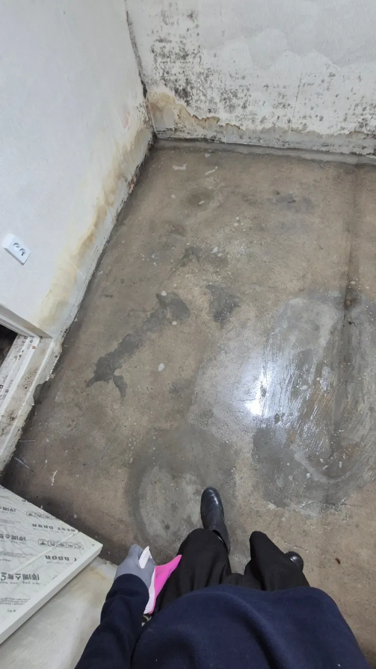 장판 제거 후 하부 곰팡이 확인