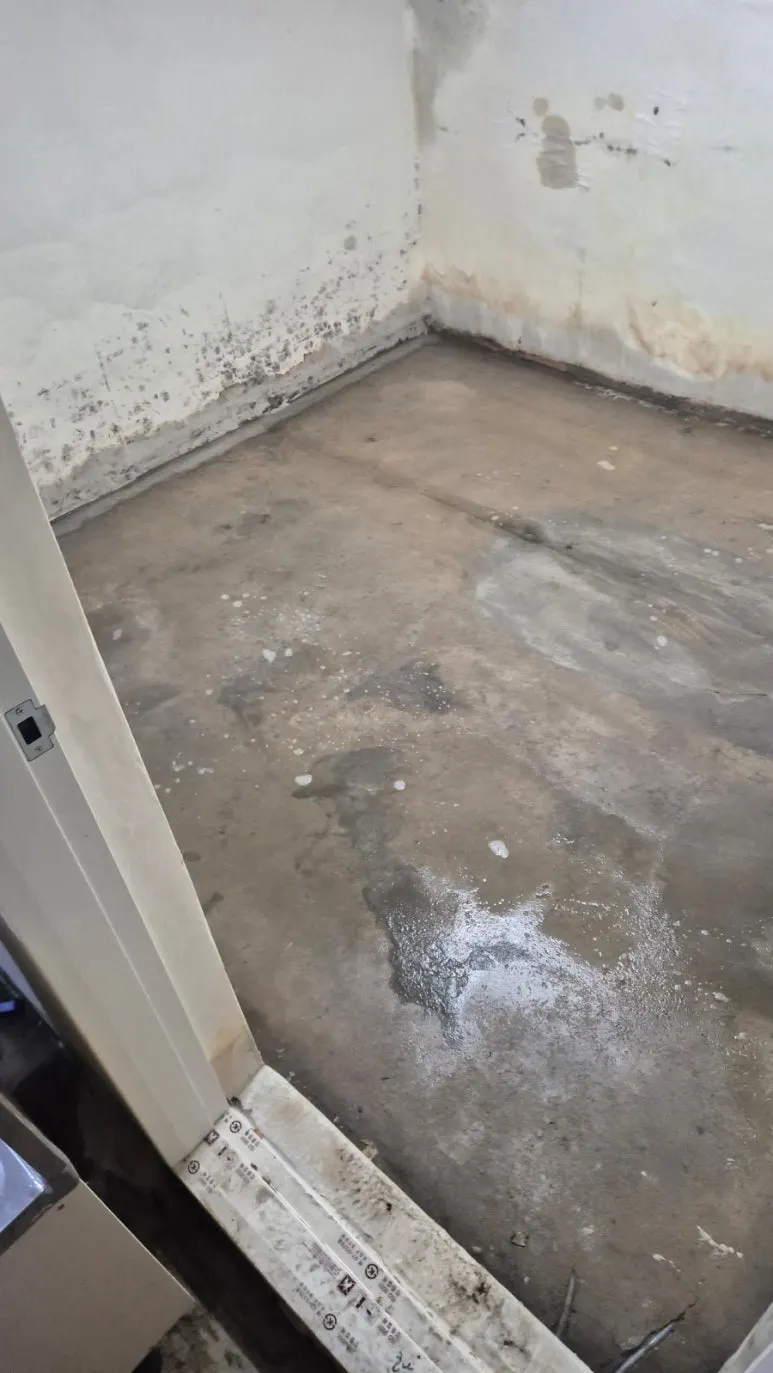 침수 후 벽면 곰팡이 발생 현장