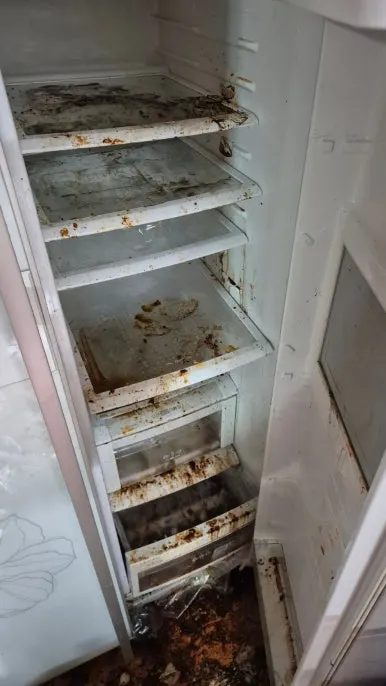 냉장고 선반 오염 상태