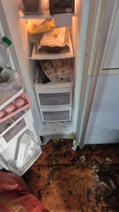 방치된 냉장고 내부 오염 상태