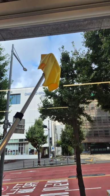 한남동 갤러리 유리창 세정 후 내부 보이는 상태