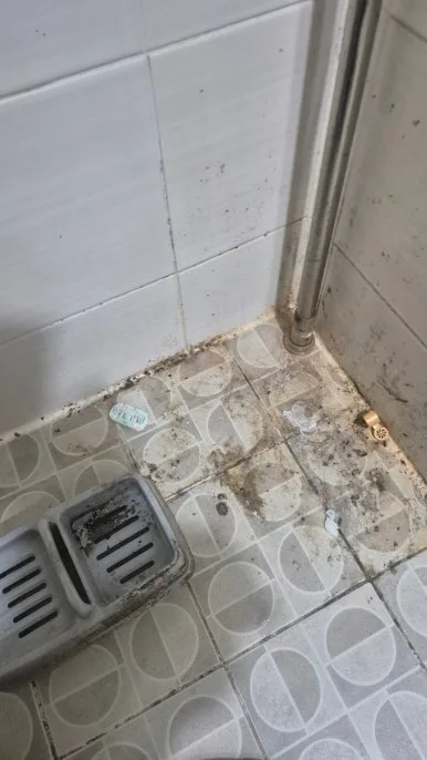 화장실 바닥 오염