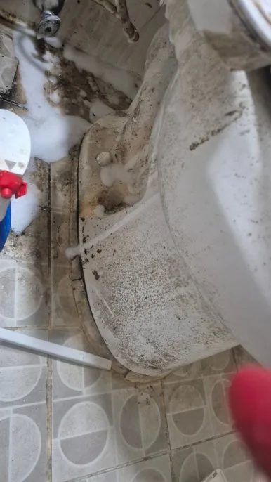 화장실 배관 주변 오물 곰팡이