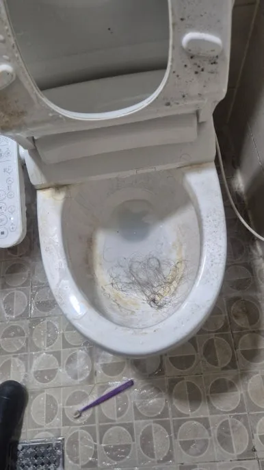 일산 화장실 변기 오물 오염 상태