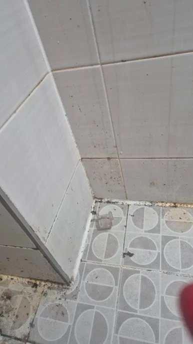 일산 화장실 벽면 타일 곰팡이