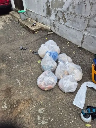 구더기 악취  작업 중