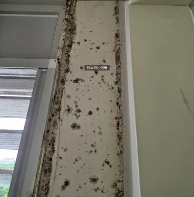 동탄 베란다 벽면 곰팡이 작업 전
