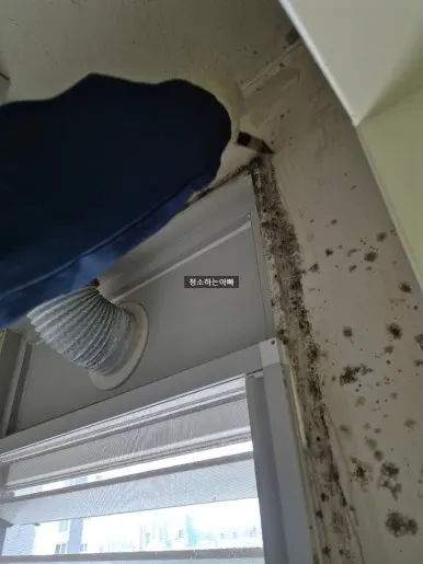 곰팡이 베란다 청소 전