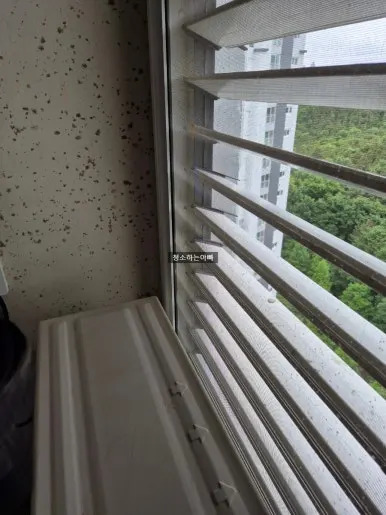 동탄 베란다 창틀 곰팡이