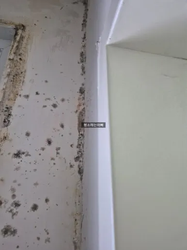 곰팡이 베란다 청소 전