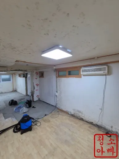 회기동 반지하 천장 곰팡이 작업 전