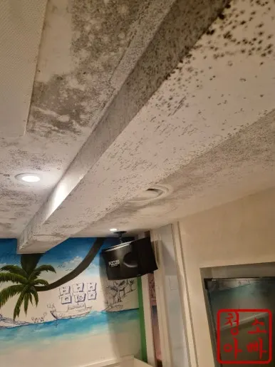 곰팡이 천장 청소 전
