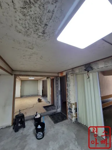 회기동 반지하 천장 곰팡이 광범위